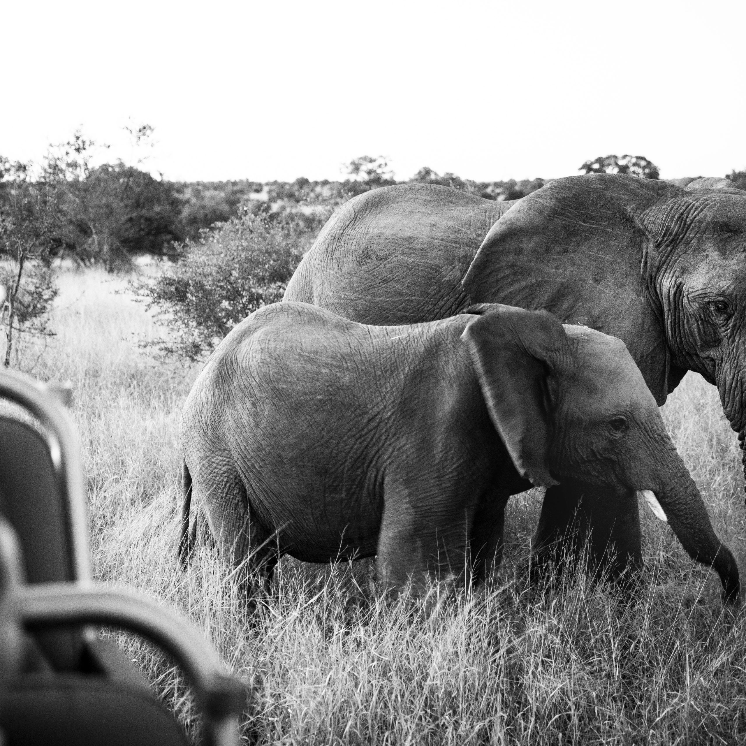 Africa Holidays: Add them to your Travel Bucket List