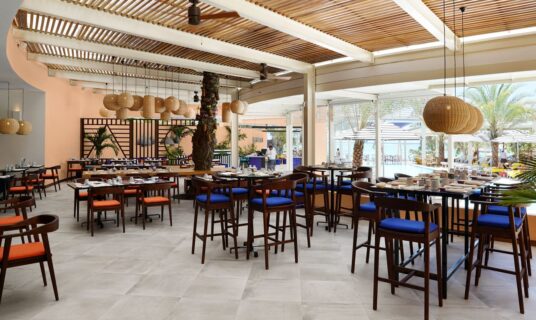 Salt of Palmar Mauritius